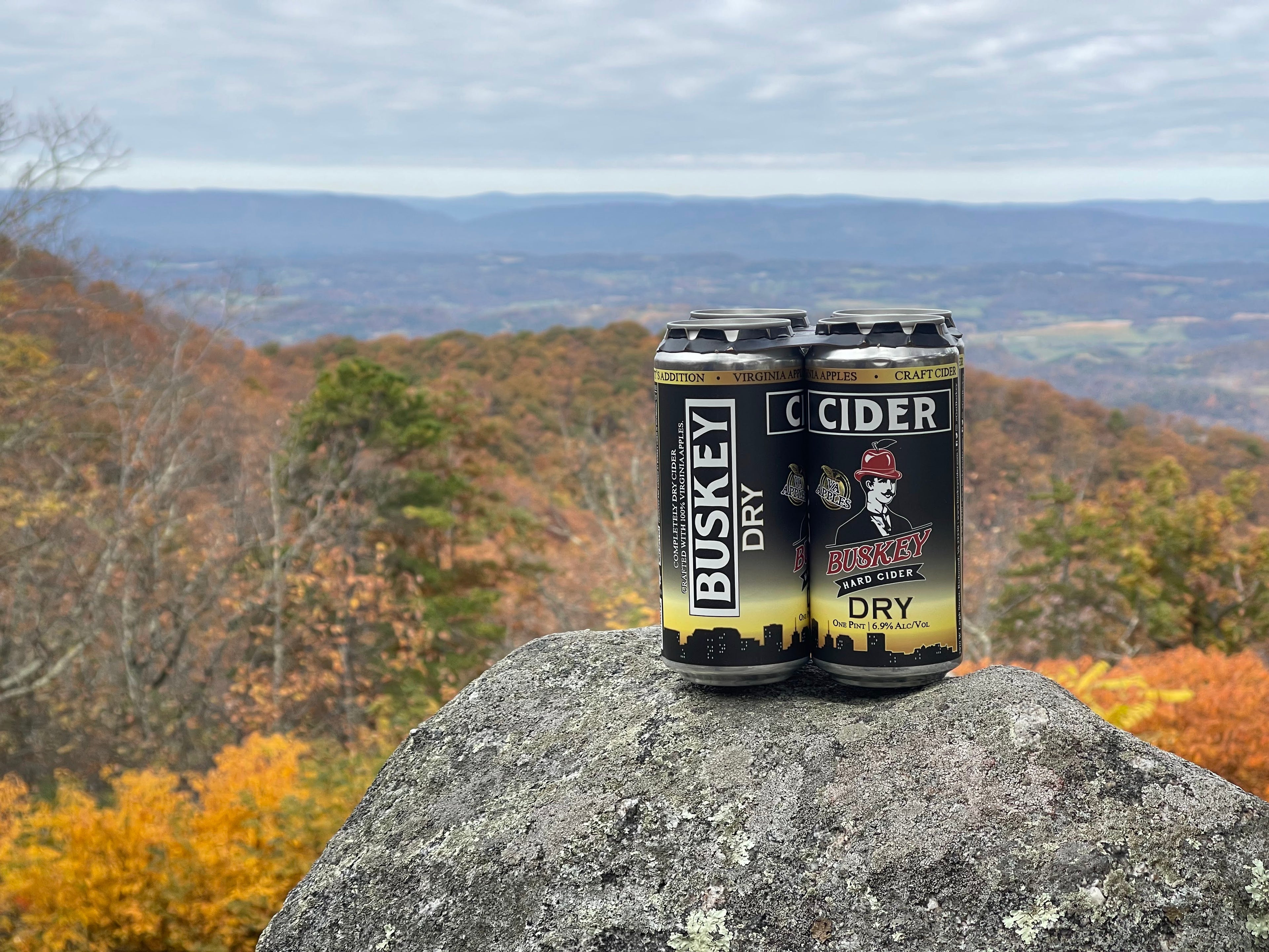 Buskey Cider | Crafted in Scott's Addition in Richmond, Virginia