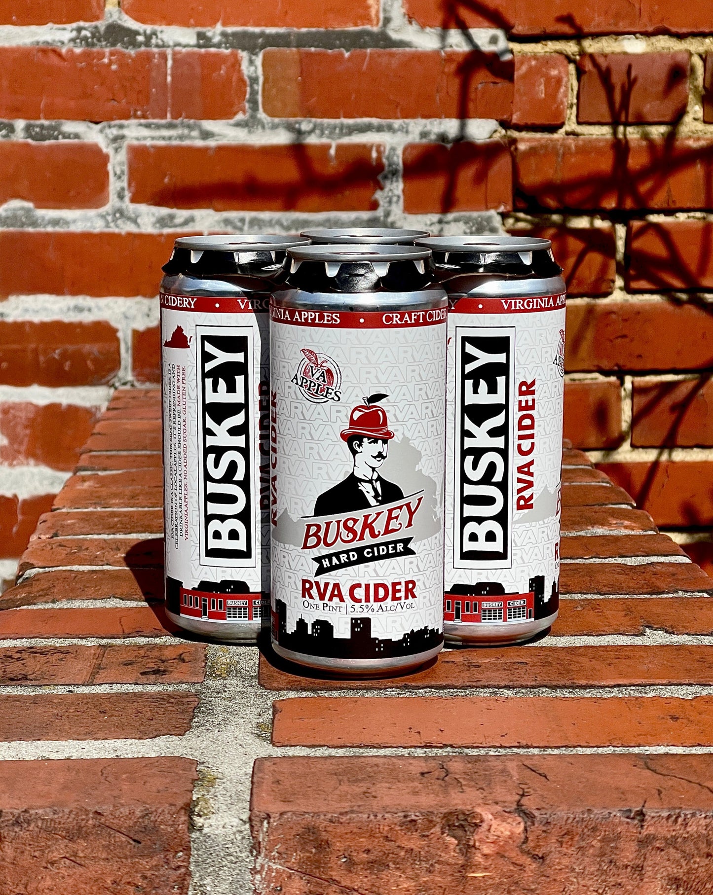 Buskey RVA Cider (4-pack or Case)